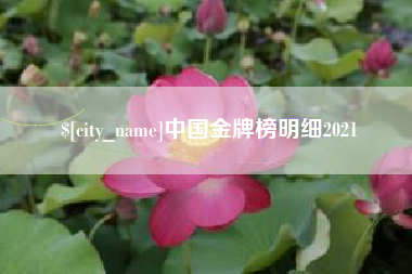 湛江中国金牌榜明细2021