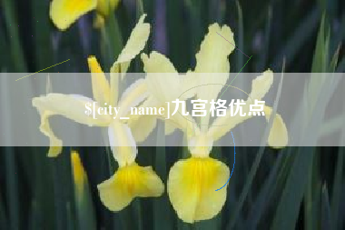 湛江九宫格优点