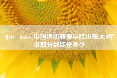 湛江中国消防救援学院山东2020年录取分数线是多少