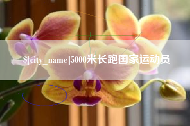 湛江5000米长跑国家运动员