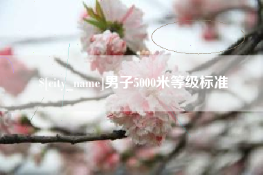 湛江男子5000米等级标准