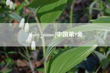 湛江中国第9金