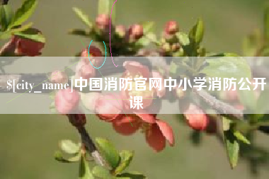 湛江中国消防官网中小学消防公开课