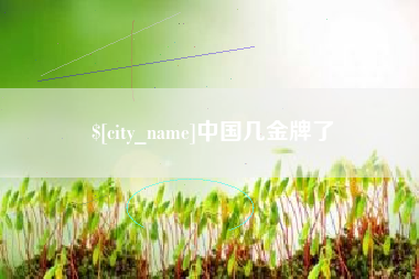 湛江中国几金牌了