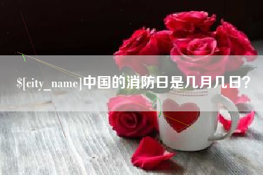 湛江中国的消防日是几月几日？