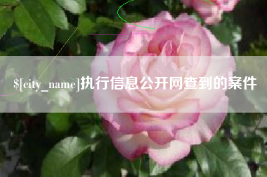 湛江执行信息公开网查到的案件
