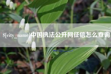 湛江中国执法公开网征信怎么查询