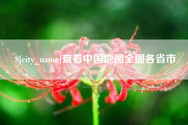 湛江查看中国地图全图各省市