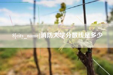 湛江消防大学分数线是多少