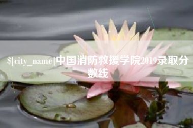 湛江中国消防救援学院2019录取分数线