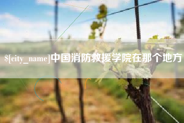 湛江中国消防救援学院在那个地方