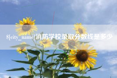 湛江消防学校录取分数线是多少