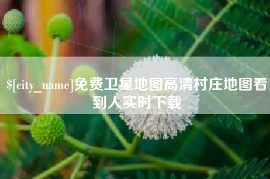湛江免费卫星地图高清村庄地图看到人实时下载