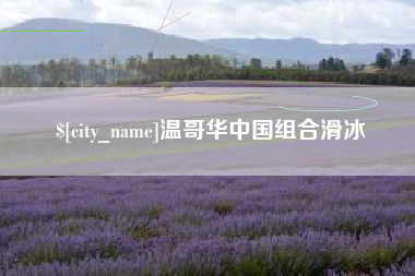 湛江温哥华中国组合滑冰