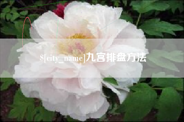 湛江九宫排盘方法
