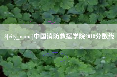 湛江中国消防救援学院2018分数线