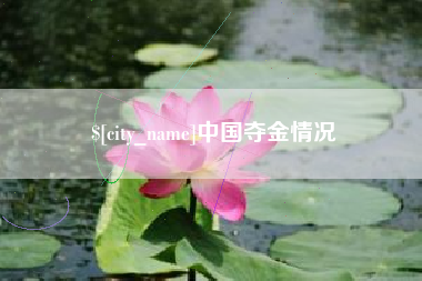 湛江中国夺金情况