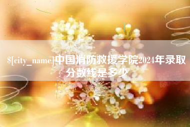 湛江中国消防救援学院2024年录取分数线是多少