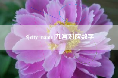 湛江九宫对应数字