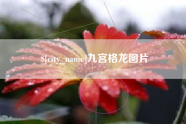 湛江九宫格龙图片