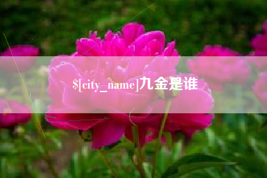 湛江九金是谁