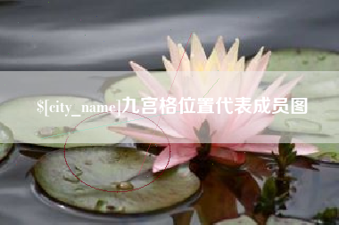 湛江九宫格位置代表成员图