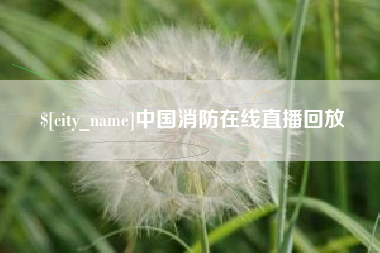湛江中国消防在线直播回放