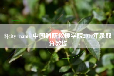 湛江中国消防救援学院2019年录取分数线