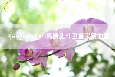 湛江2024高清北斗卫星实景地图
