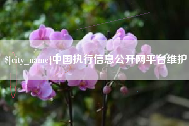 湛江中国执行信息公开网平台维护