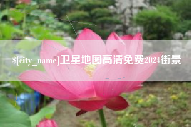 湛江卫星地图高清免费2024街景