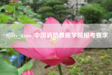 湛江中国消防救援学院报考要求