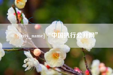 湛江“中国执行公开网”