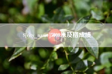 湛江5000米及格成绩
