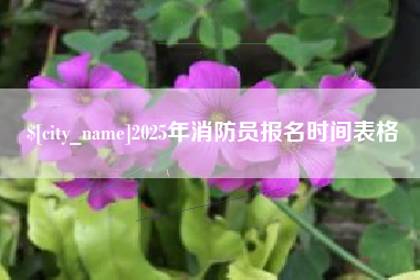 湛江2025年消防员报名时间表格