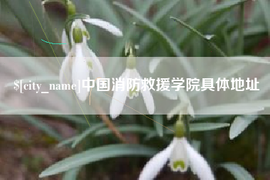 湛江中国消防救援学院具体地址