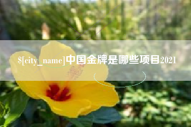 湛江中国金牌是哪些项目2021