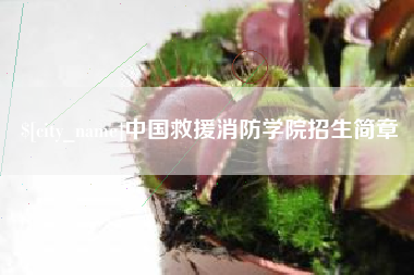 湛江中国救援消防学院招生简章