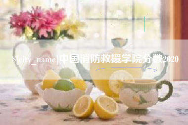 湛江中国消防救援学院分数2020