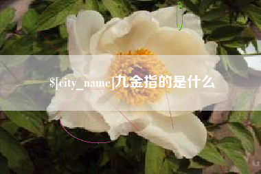 湛江九金指的是什么