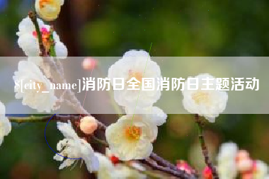 湛江消防日全国消防日主题活动