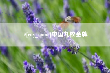 湛江中国九枚金牌