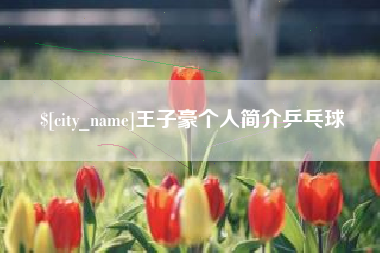 湛江王子豪个人简介乒乓球