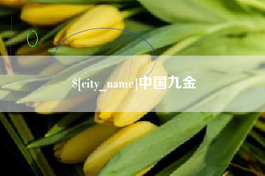 湛江中国九金
