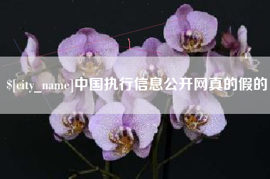 湛江中国执行信息公开网真的假的