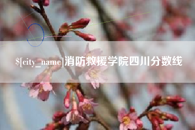 湛江消防救援学院四川分数线