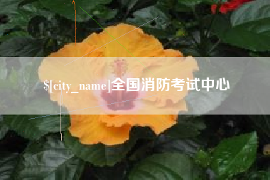 湛江全国消防考试中心