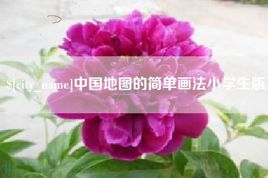 湛江中国地图的简单画法小学生版