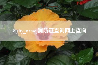 湛江消防证查询网上查询