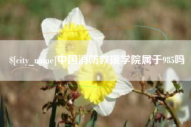 湛江中国消防救援学院属于985吗